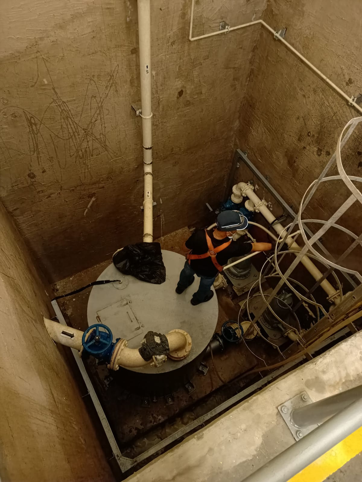 WhatsApp Image 2024-05-15 at 19.42.53_66661105